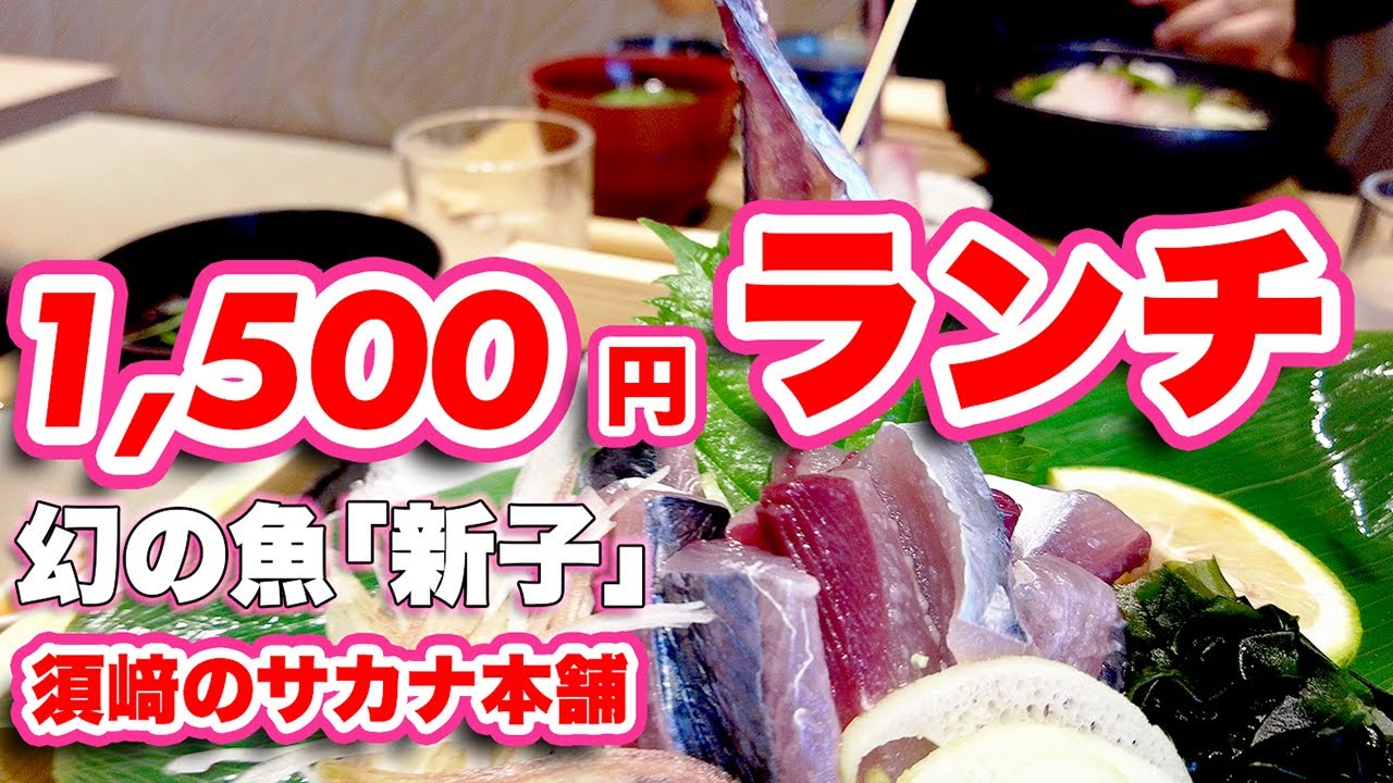 【高知グルメ】幻の新子(しんこ)を食べてみた!魚のまち『須崎』地元民おすすめの海鮮丼!【旅行VLOG、レビュー】高知でもなかなかお目にかかれ ...