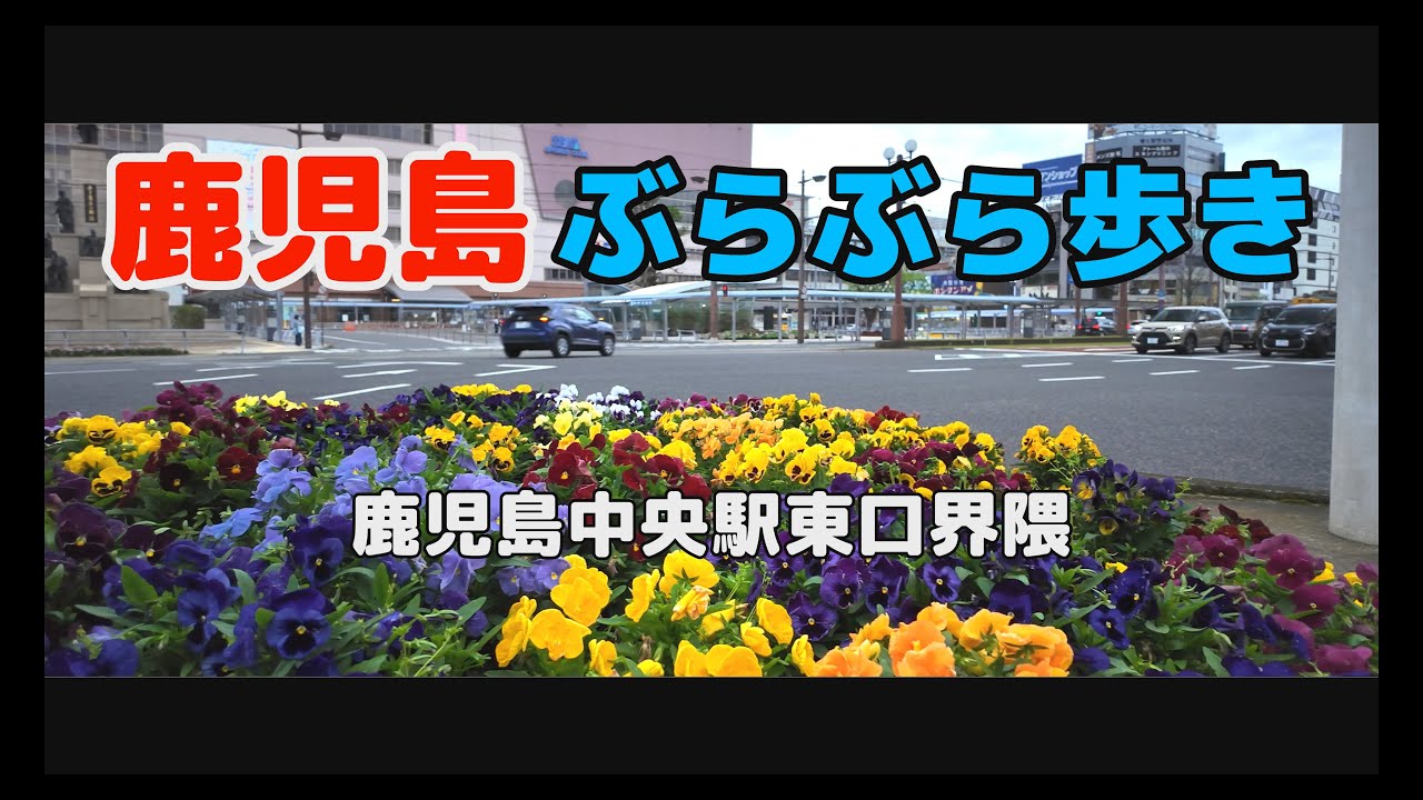 4K 鹿児島ぶらぶら歩き 鹿児島なまり#鹿児島#japan#DJI Pocket 3 - ECHO TRIP