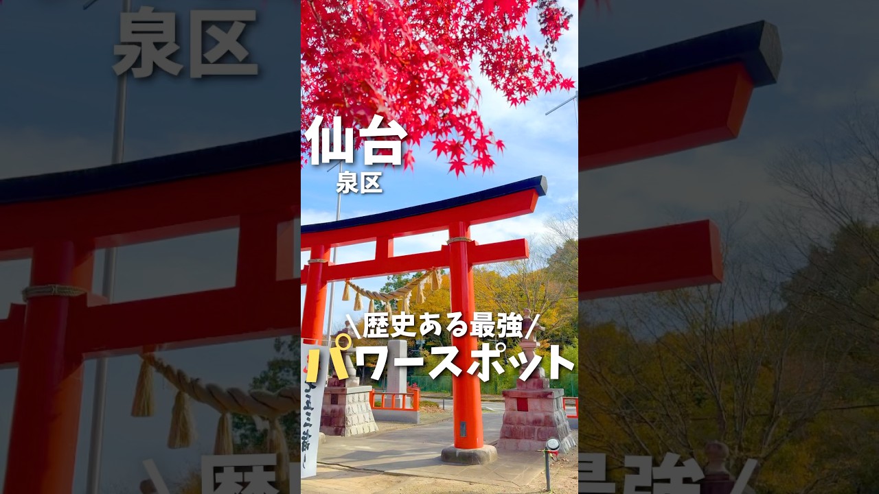 【仙台観光】歴史ある最強のパワースポット ️🔥#宮城旅行 #宮城観光 #仙台観光 #仙台旅行 #神社 #紅葉 #japantravel # ...